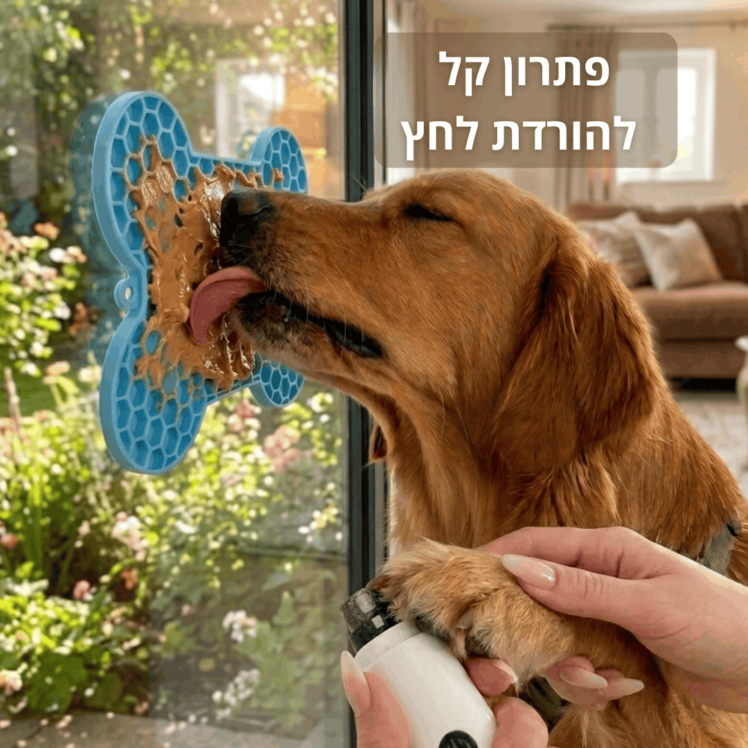 משטח ליקוק להרגעה - ™SlowLick